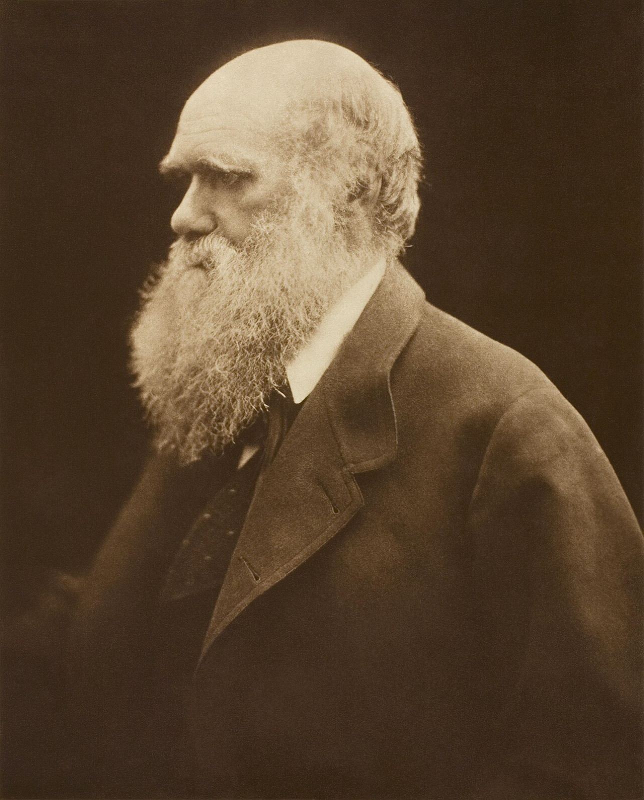 Portrait of Charles Darwin