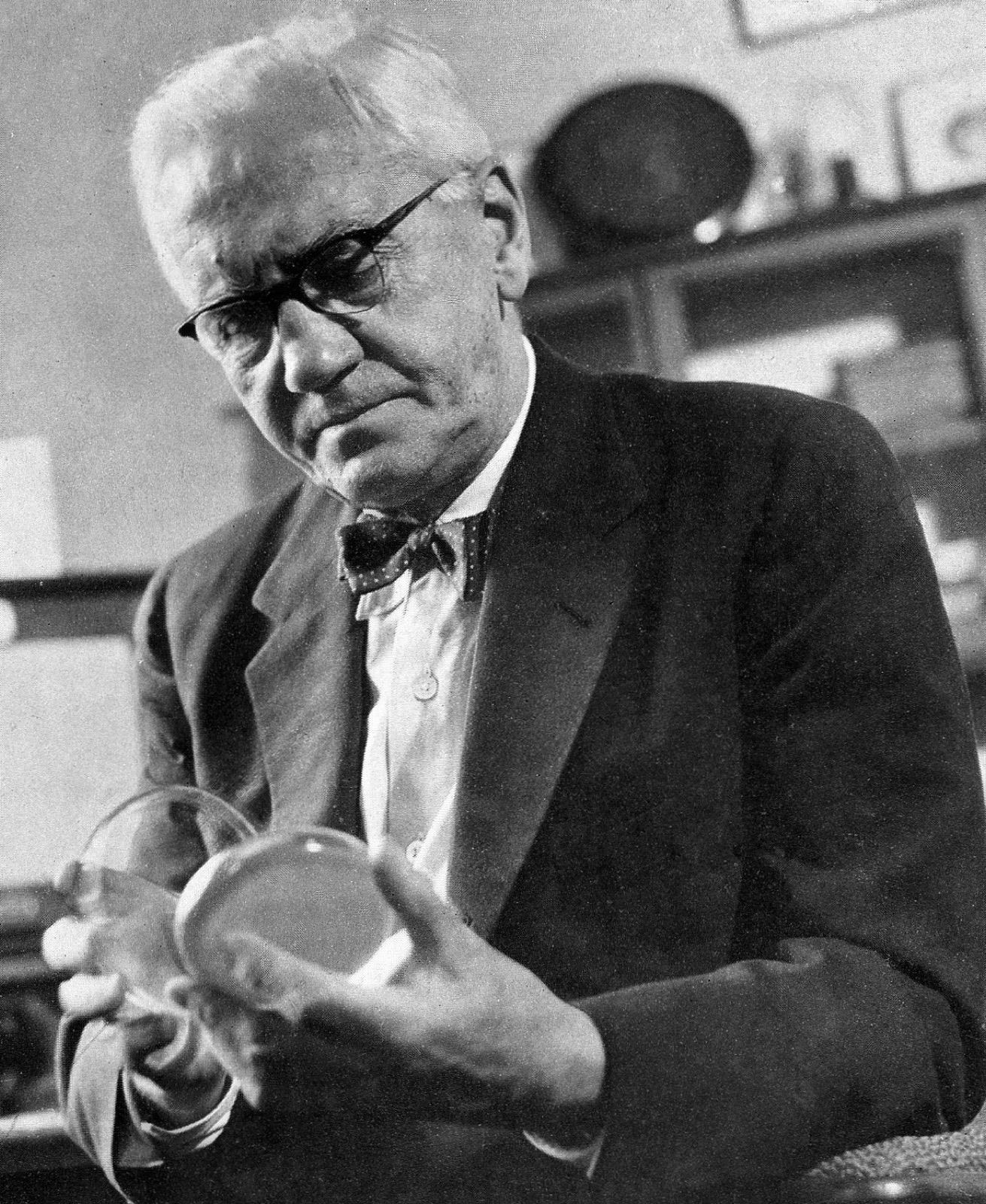 Portrait of Alexander Fleming